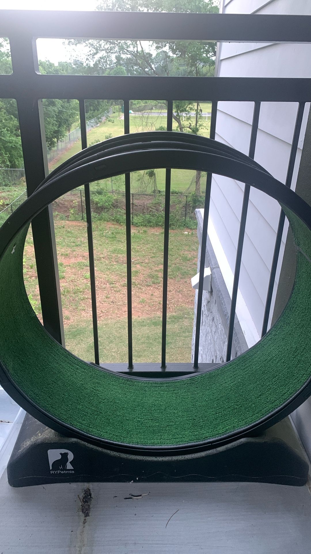Cat Wheel