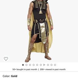 King Of Egypt Costume 