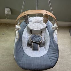 Ingenuity Baby Swing