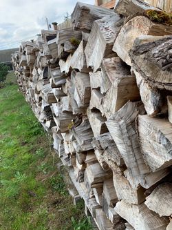 Dry Hardwood Firewood Maple Alder Cherry