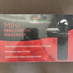 Mini Massage 