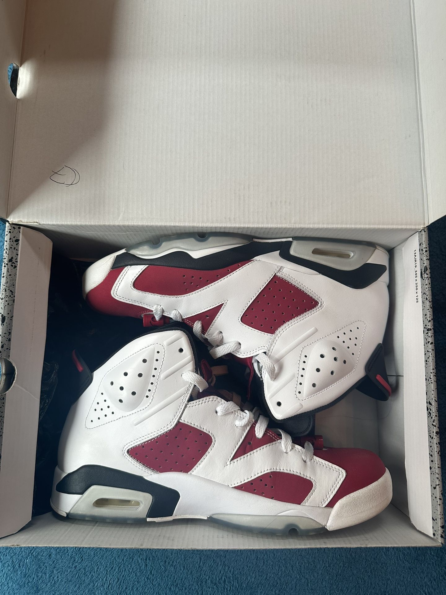 Jordan 6 Retro Carmine 2014 Size 10.5