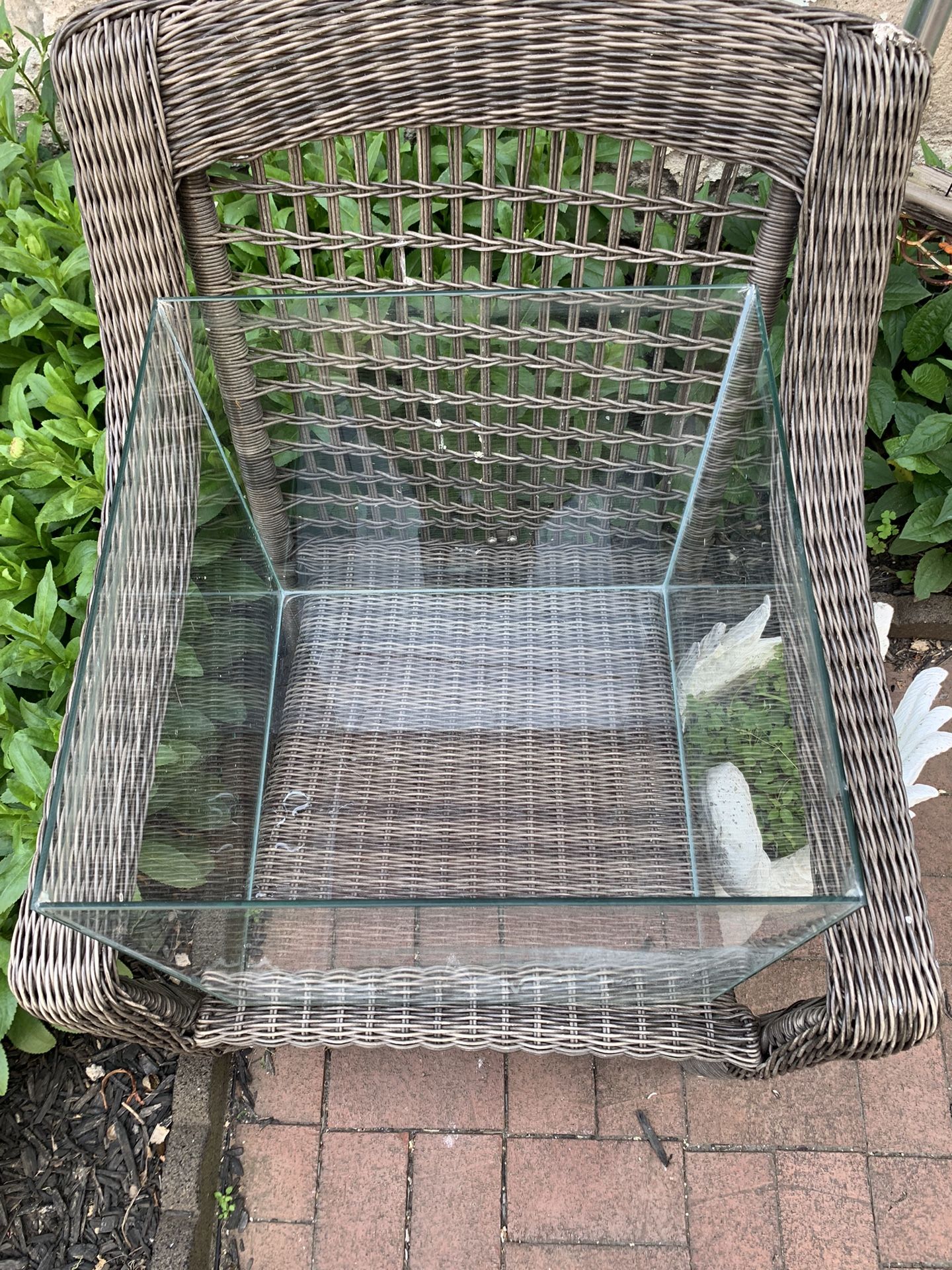 Terrarium Glass Cube Seamless 15x15x15 for Reptiles or plants