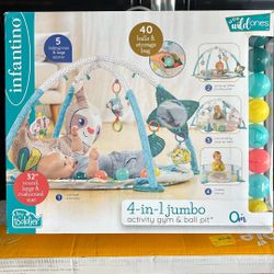 Baby Activity Gym & Ball Pit