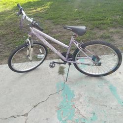 Roadmaster Mountain Bike 