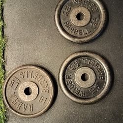 (3x) 10 Lb Standard Weights