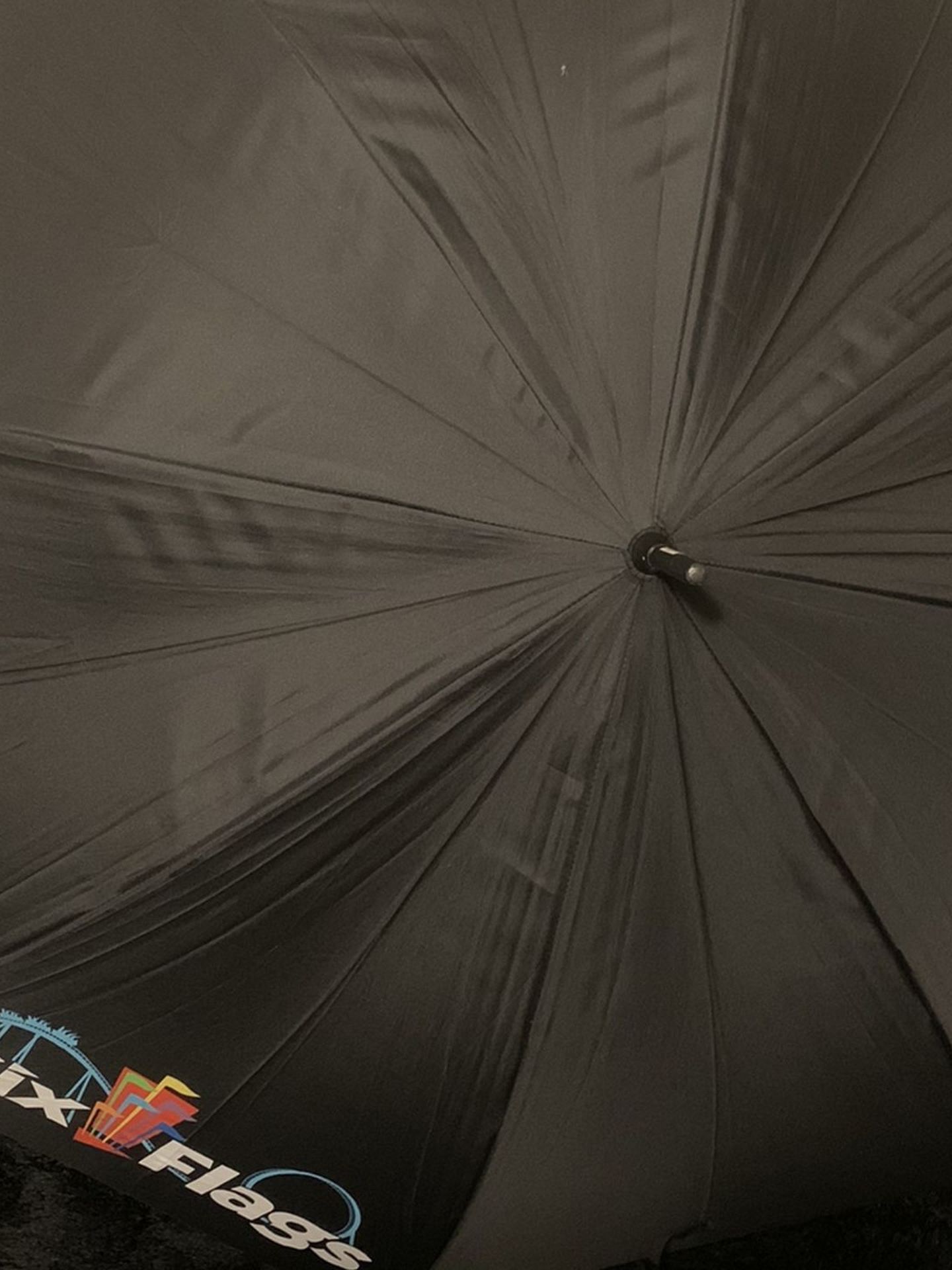 Six Flags Umbrella for Sale in Los Angeles, CA OfferUp