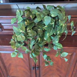 Beautiful Artificial Plant Philodendron 