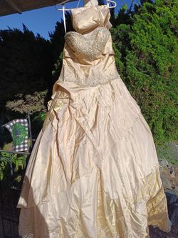 Princess Size 14 Quicenera Or Formal Gown With Handbag And Shoulder Wrap