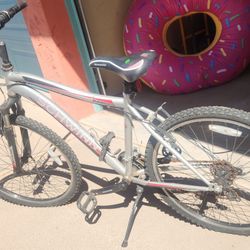 Schwinn 24" Mountain Bike