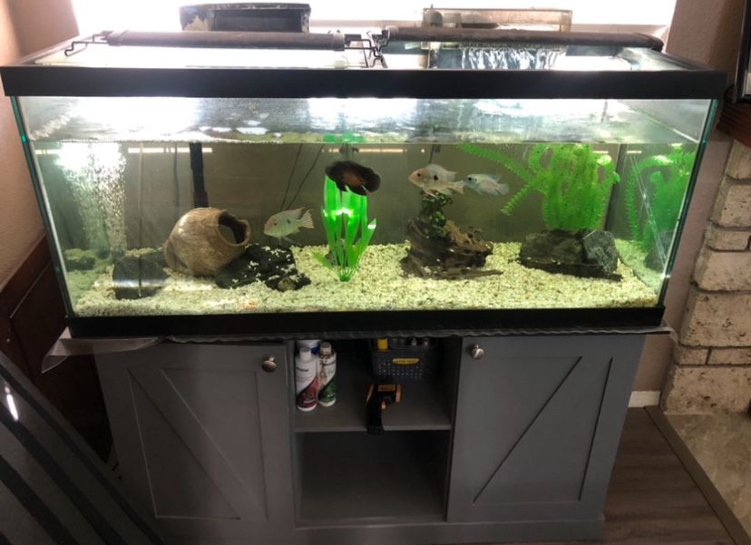 75 Gallon Fish Tank