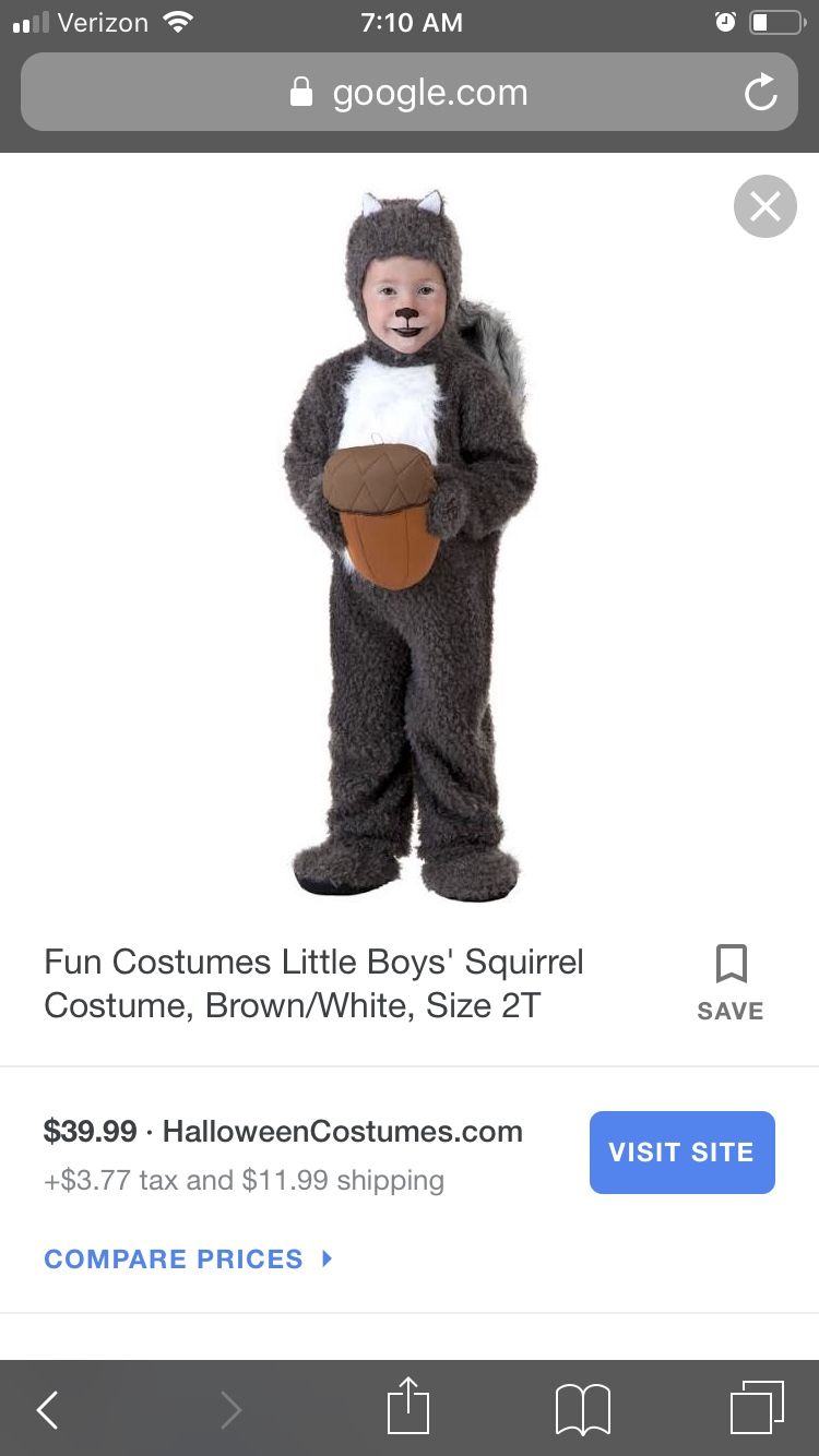 Costume - squirrel - will fit 3 y/o - like new $20