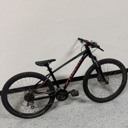 Specialized Pitch Bike