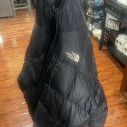 Big Boys Large(14/16) North Face Jacket 550