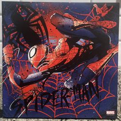 Spiderman Canvas Picture 