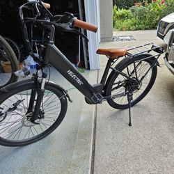 Electric Bike 