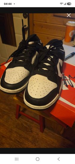 Brand new nike dunks size 9