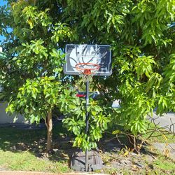 Lifetime Basketball Hoop