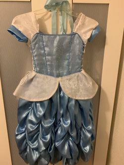 Cinderella costume