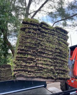 Pallets Of St Augustine Grass For Sale