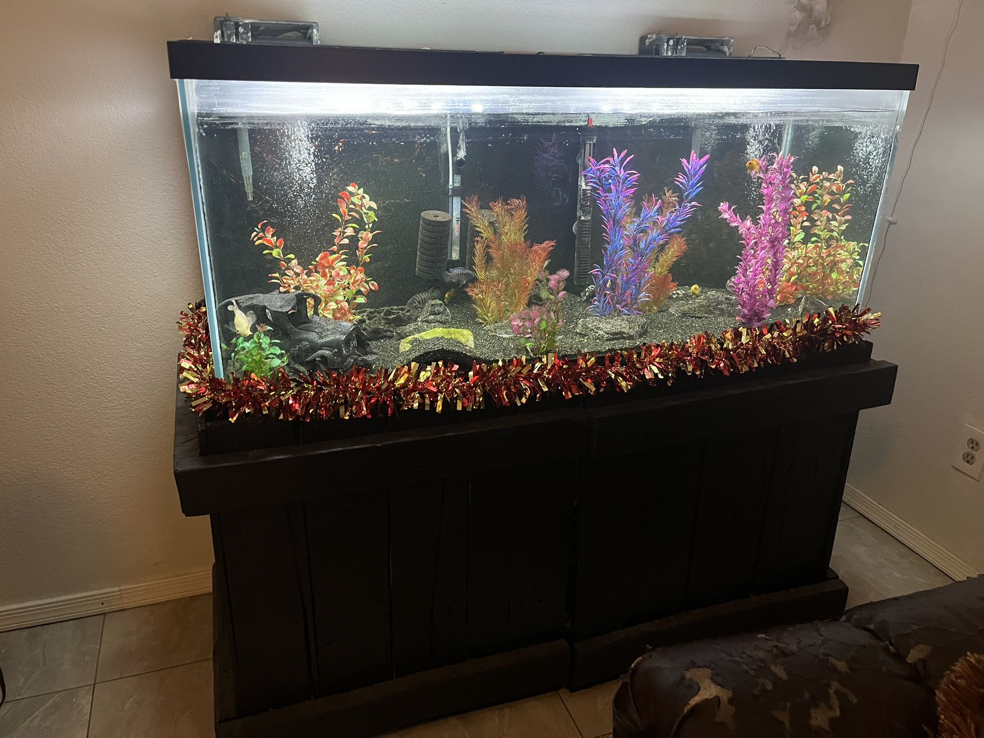 60 Gallon Aquarium for Sale in Phoenix, AZ OfferUp