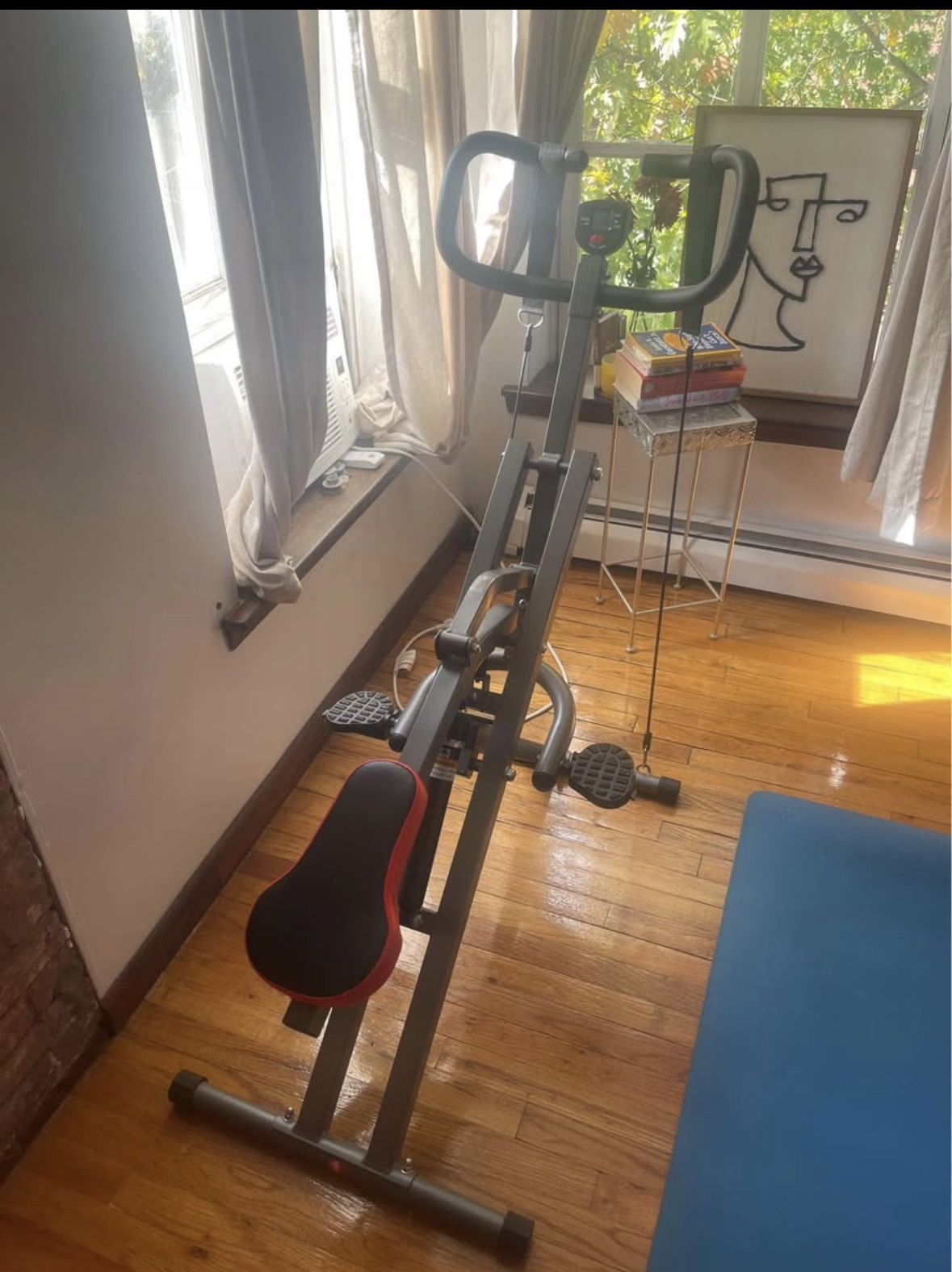 Row N Ride Pro Squat Assist Trainer 