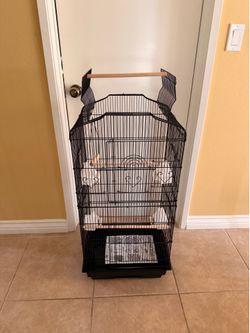 Birds cage