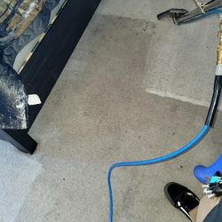 Carpet Cleaner