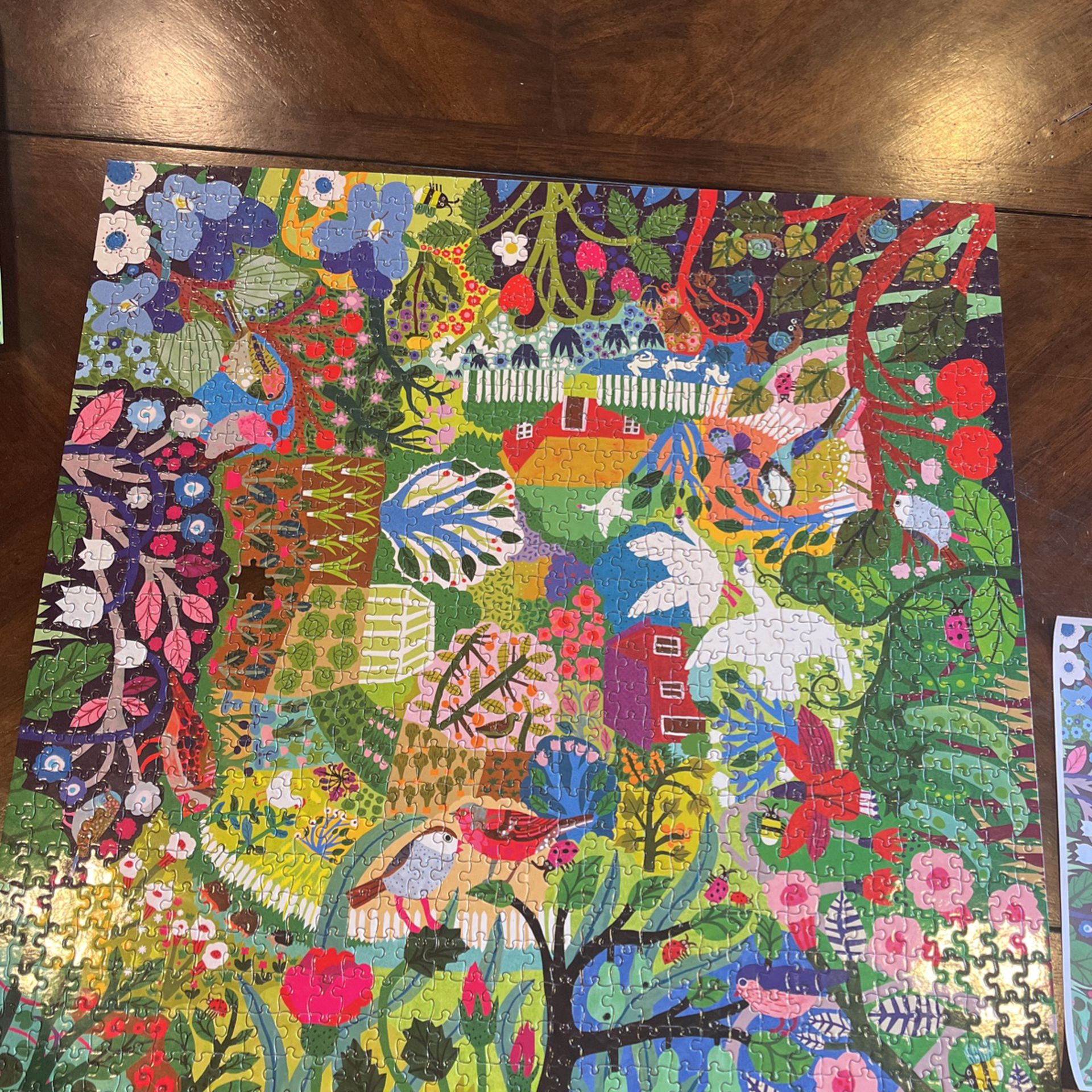 1,000 Piece Puzzel