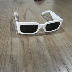 Sunglasses 