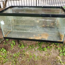 40 Gallon Used Aquarium