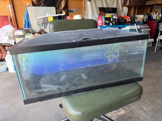 Fish tank