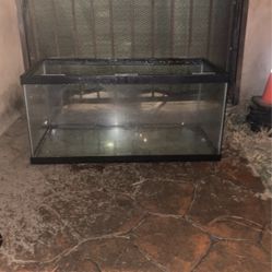 Reptile Tank
