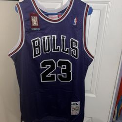 Michael Jordan purple Chicago Bulls jersey size xl