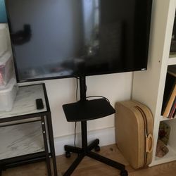 40 Inch Vizio Monitor on Rolling Cart