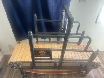 Dog treadmill