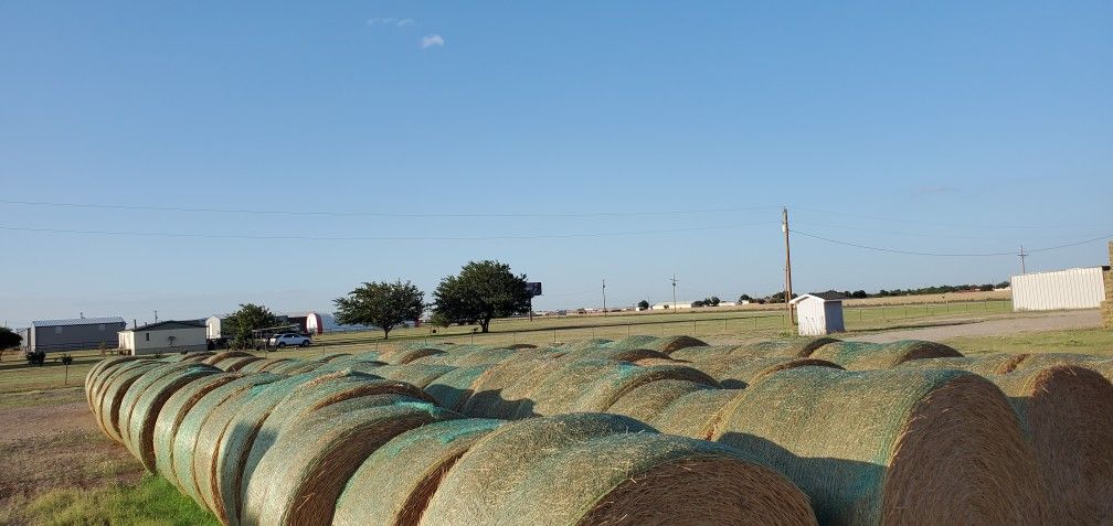 Hay For Sale/ Honest Prices.