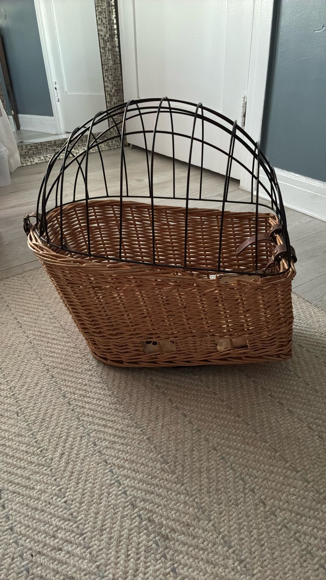 Rear Bicycle Basket For Pets