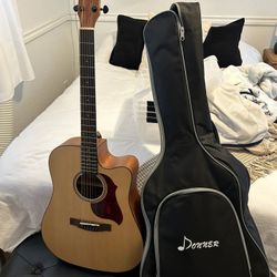 Acoustic Guitar 