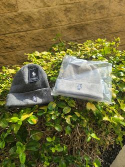 Polo Beanies