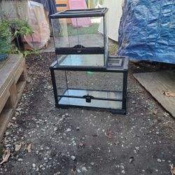 Takes Para Vivoras I Ensectos