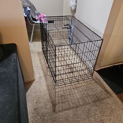 One L Precispon Dog cage , You can get the trays at Walmart. 