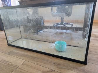 Free saltwater tank with stand