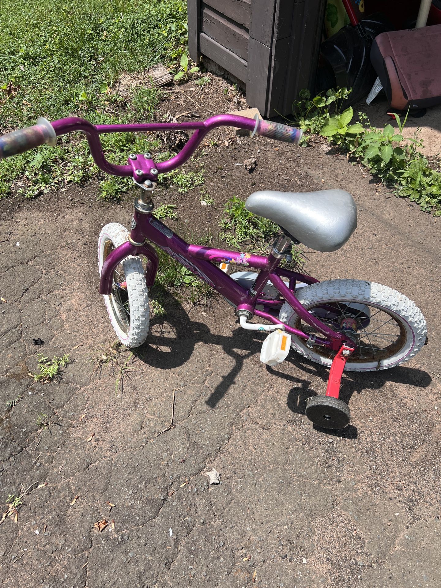Princess Bike With Training Wheels