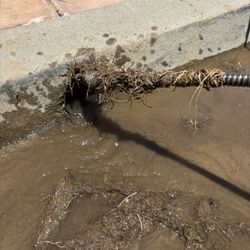 Snake Drain !