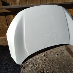 Honda Civic OEM Hood Excellent Condition Fits 2016 To 2021