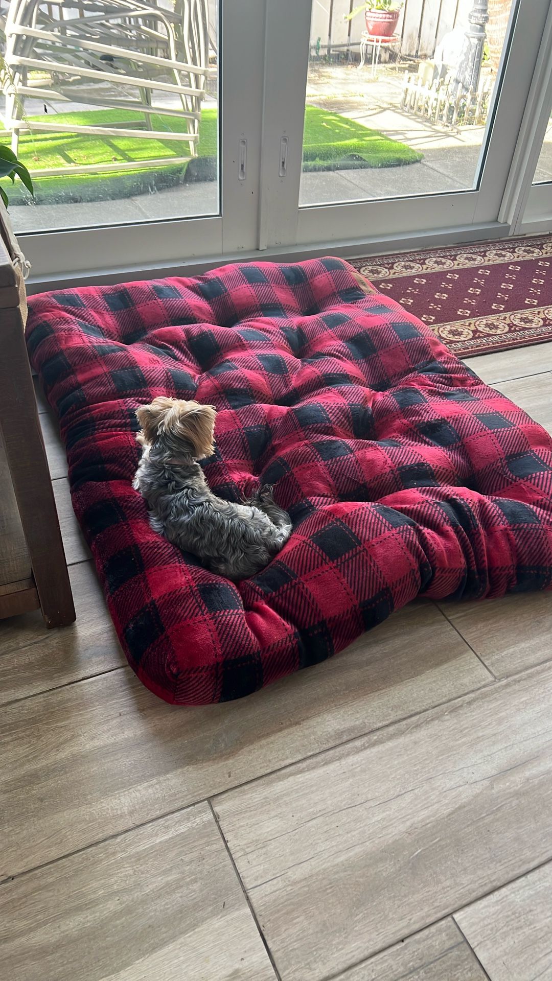 Dog Bed
