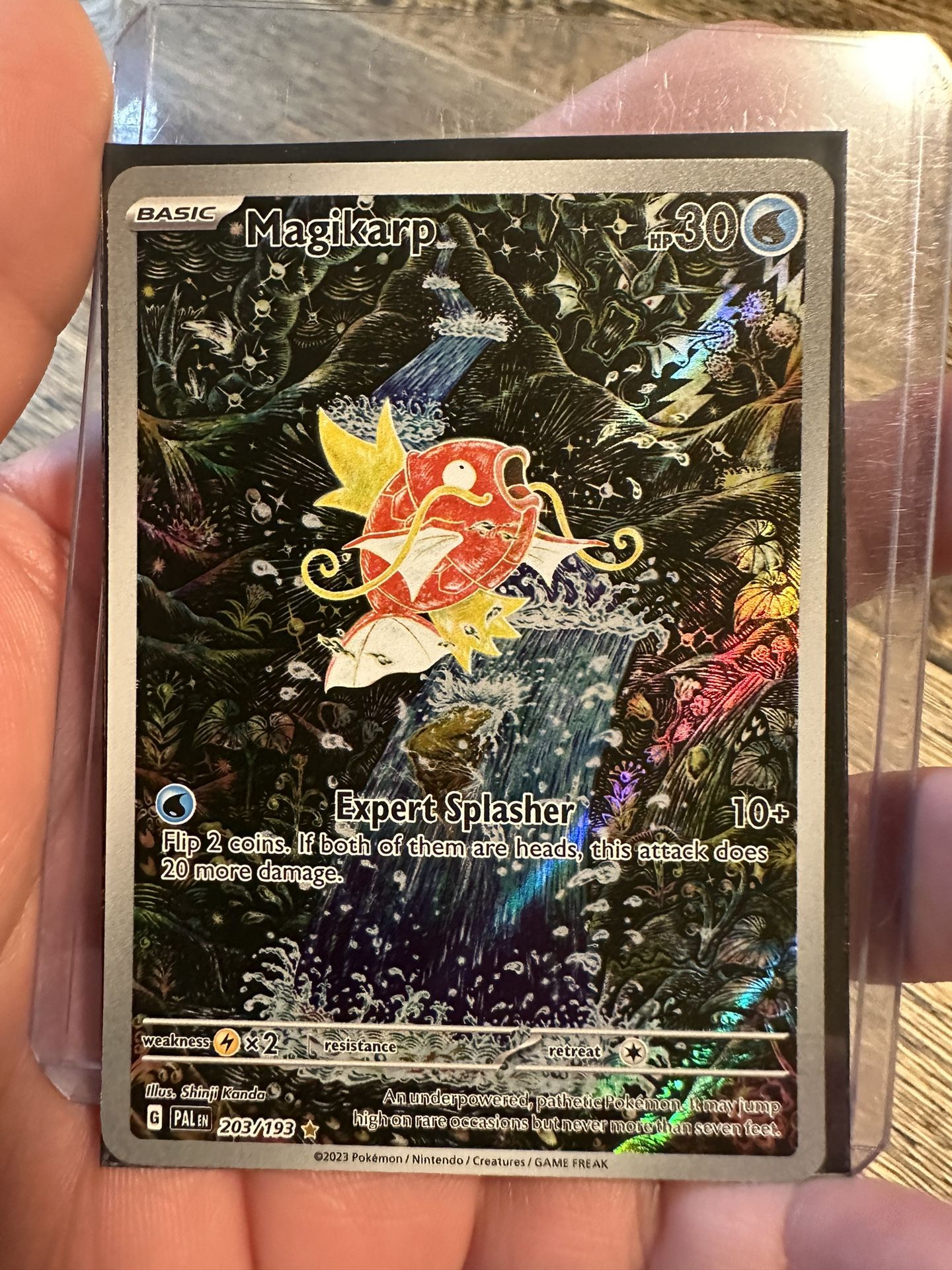 Magikarp - 203/193 - SV02: Paldea Evolved (PAL)