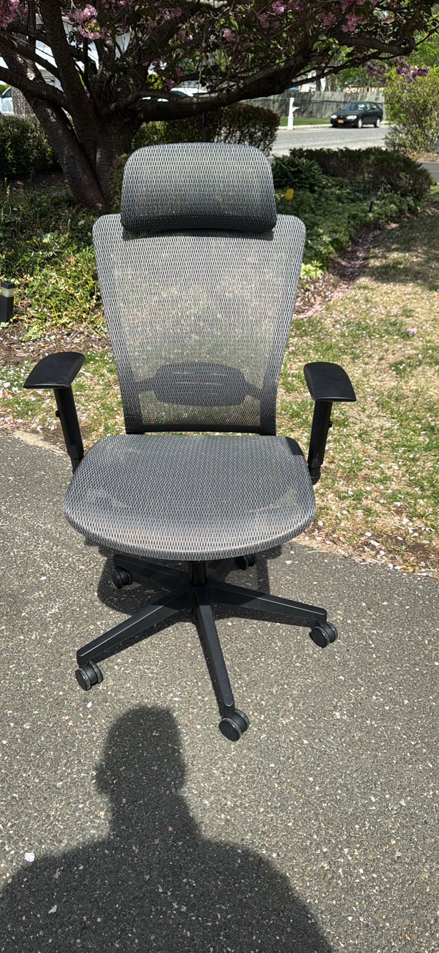 Mesh Desk Chair