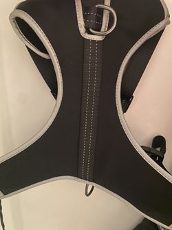 Boots and Barkley large harness